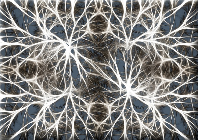 Neuronen innerhalb des Gehirns